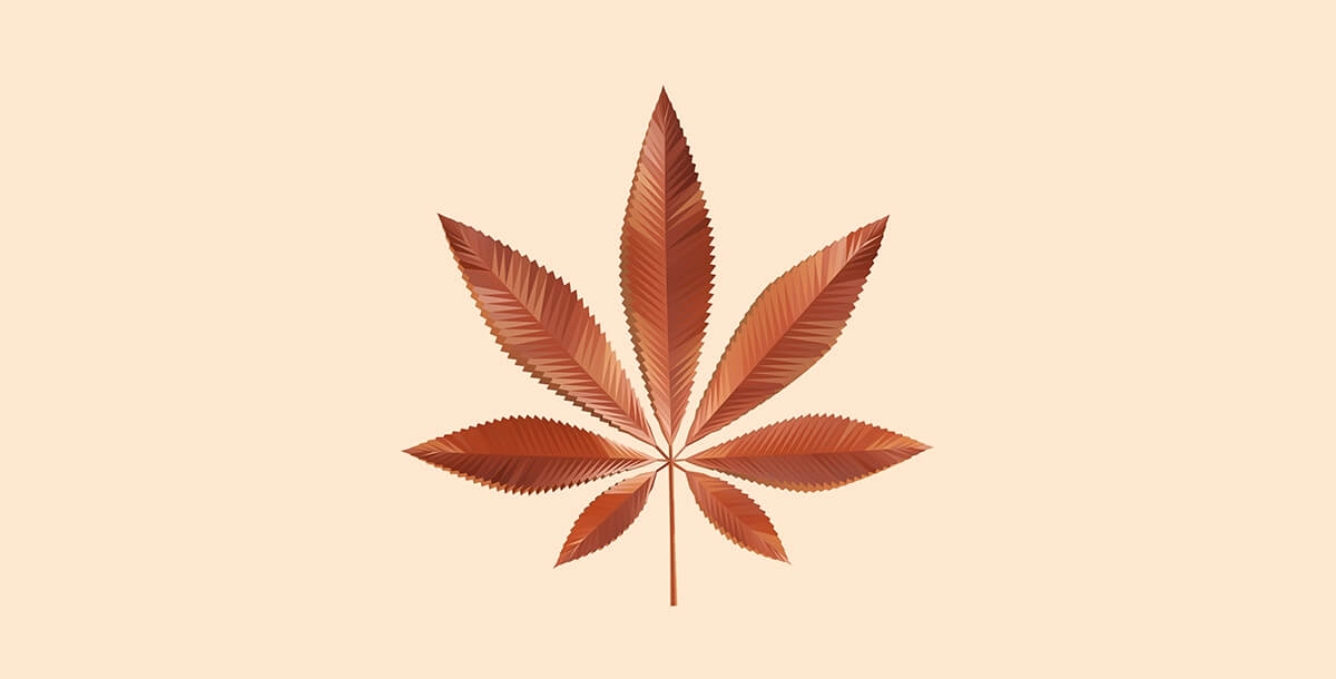 cannabis 2.0