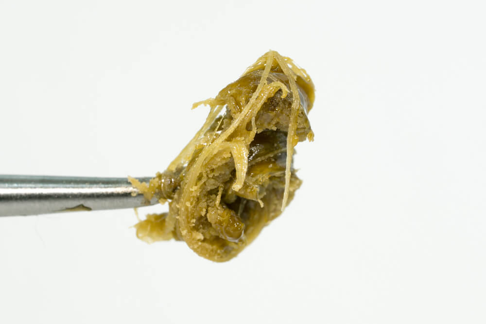 cannabis extracts rosin